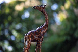 Nikon Series E 3.5/75-150 @ 75mm F3.5