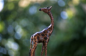 Nikkor-K 1.8/85 F1.8